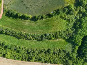 Prodej podílu 1/4 pozemku, Bechlín, 14560 m2