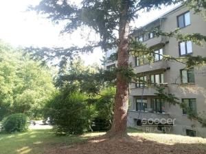 Pronájem bytu 2+1, Praha - Braník, Žalmanova, 50 m2