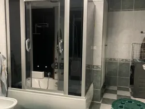 Prodej rodinného domu, Frýdek-Místek, Palkovická, 198 m2