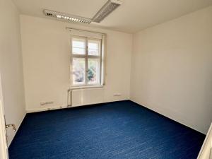Prodej vily, Litoměřice - Předměstí, Neumannova, 260 m2