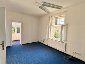 Prodej vily, Litoměřice - Předměstí, Neumannova, 260 m2