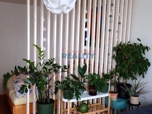 Prodej bytu 2+1, České Budějovice, Lipenská, 70 m2