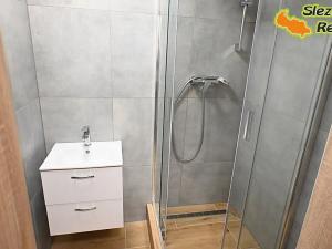 Pronájem bytu 1+1, Ostrava, Sokolovská, 34 m2