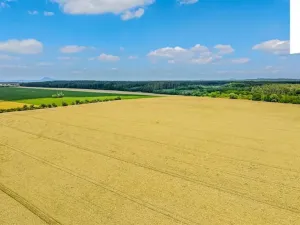 Prodej pozemku pro bydlení, Liběchov, Třešňovka, 997 m2