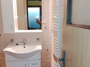 Prodej rodinného domu, Hrušovany nad Jevišovkou, 300 m2