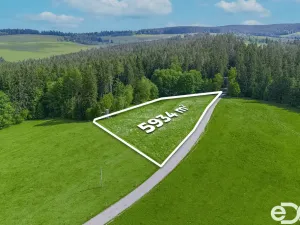 Prodej pozemku pro bydlení, Frymburk, 5934 m2