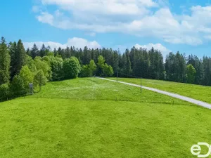 Prodej pozemku pro bydlení, Frymburk, 5934 m2
