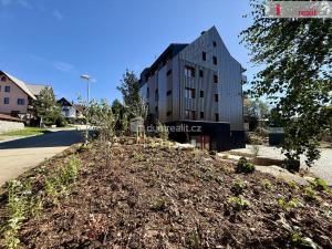 Prodej bytu 1+kk, Harrachov - Nový Svět, 31 m2