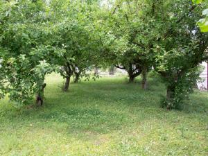 Prodej rodinného domu, Zabrušany, 250 m2