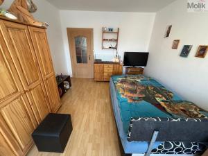 Prodej bytu 2+1, Louny, Kpt. Nálepky, 63 m2