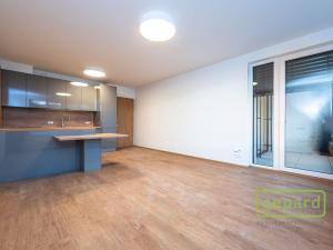 Pronájem bytu 2+kk, Praha, U Pergamenky, 55 m2