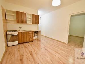 Pronájem bytu 1+1, Litvínov - Horní Litvínov, Tylova, 36 m2