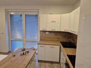 Pronájem bytu 3+kk, Sluhy, 79 m2