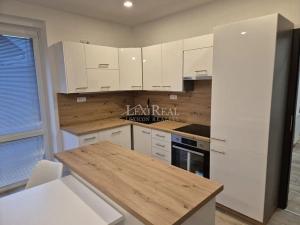 Pronájem bytu 3+kk, Sluhy, 79 m2