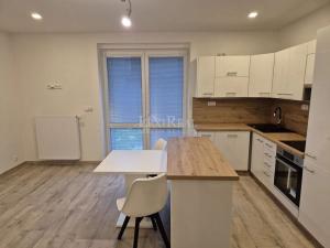 Pronájem bytu 3+kk, Sluhy, 79 m2