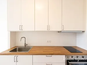 Pronájem bytu 2+kk, Praha, Štichova, 42 m2
