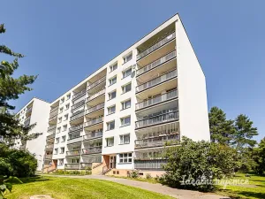 Pronájem bytu 2+kk, Praha, Štichova, 42 m2