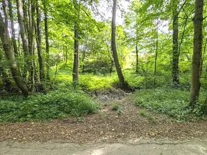 Prodej pozemku, Vizovice, 32591 m2