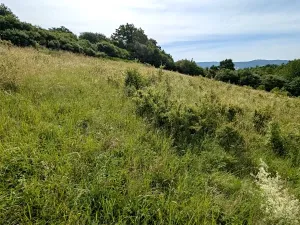 Prodej pozemku, Vizovice, 32591 m2