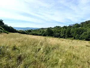Prodej pozemku, Vizovice, 32591 m2