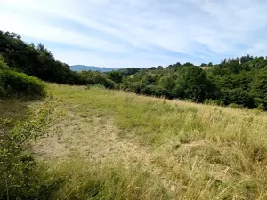 Prodej pozemku, Vizovice, 32591 m2