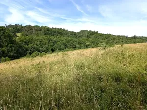 Prodej pozemku, Vizovice, 32591 m2