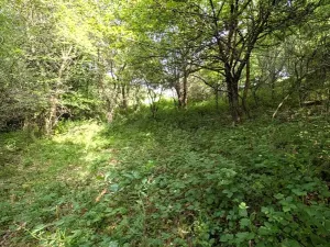 Prodej pozemku, Vizovice, 32591 m2