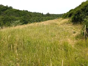 Prodej pozemku, Vizovice, 32591 m2