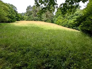 Prodej pozemku, Vizovice, 32591 m2