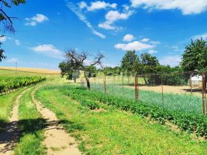 Prodej pozemku pro bydlení, Miroslav, 934 m2