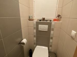 Pronájem bytu 1+kk, Olomouc, Wellnerova, 62 m2