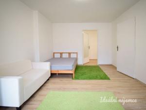 Pronájem bytu 1+1, Brno - Trnitá, Křenová, 48 m2