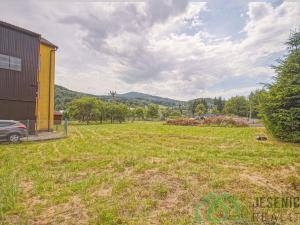Prodej komerčního pozemku, Lipová-lázně, 1608 m2