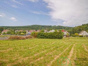 Prodej komerčního pozemku, Lipová-lázně, 1608 m2