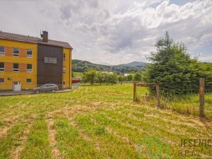 Prodej komerčního pozemku, Lipová-lázně, 1608 m2