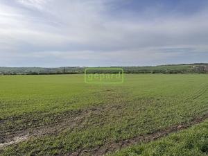 Prodej pole, Brno - Tuřany, 5446 m2