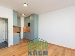 Pronájem bytu 2+kk, Horoměřice, Žižkova, 37 m2