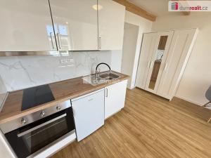 Pronájem bytu 1+kk, Praha - Smíchov, Na Valentince, 38 m2