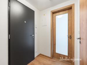 Pronájem bytu 1+kk, Praha - Vysočany, Kolbenova, 33 m2