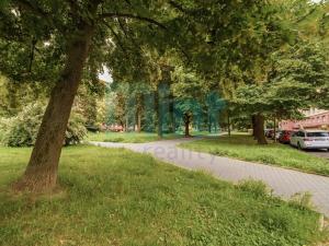 Pronájem bytu 1+1, Ostrava, Nálepkovo náměstí, 43 m2