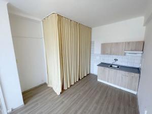 Pronájem bytu 1+kk, Praha - Nusle, U čtyř domů, 21 m2