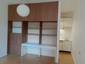 Pronájem bytu 1+kk, Praha - Holešovice, U průhonu, 27 m2