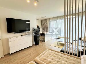Pronájem bytu 1+kk, Praha - Košíře, Česká, 48 m2