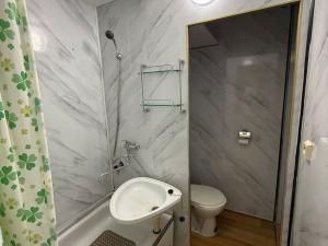 Pronájem bytu 1+1, Jirkov, SNP, 36 m2