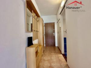 Pronájem bytu 1+kk, Děčín - Děčín III-Staré Město, Žerotínova, 22 m2