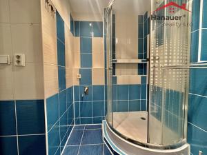 Pronájem bytu 1+kk, Děčín - Děčín III-Staré Město, Žerotínova, 22 m2