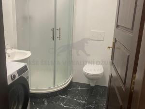 Pronájem bytu 1+kk, Jáchymov, třída Dukelských hrdinů, 21 m2