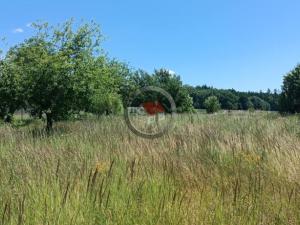 Prodej rodinného domu, Želetava - Horky, 80 m2