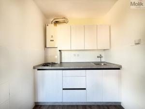 Pronájem bytu 2+kk, Osek, Smetanova, 35 m2