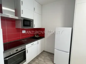 Pronájem bytu 1+kk, České Budějovice - České Budějovice 3, Jírovcova, 30 m2